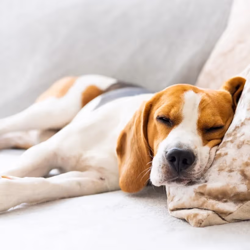 20 quick tips to lower your energy bills and prep for winter