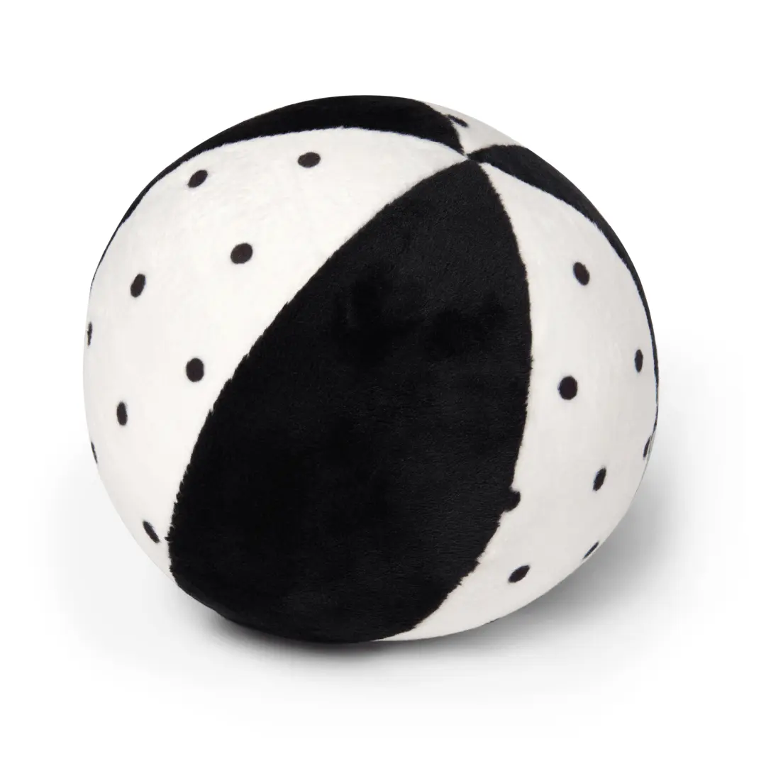 De zwart-wit bal uit de newborn navigator speelgoedbox