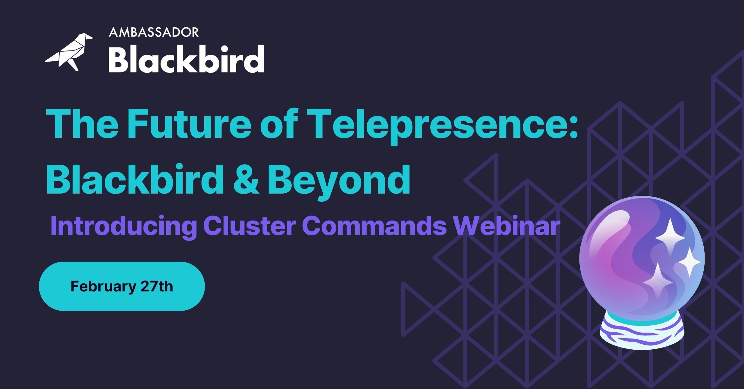 The Future of Telepresence: Blackbird & Beyond