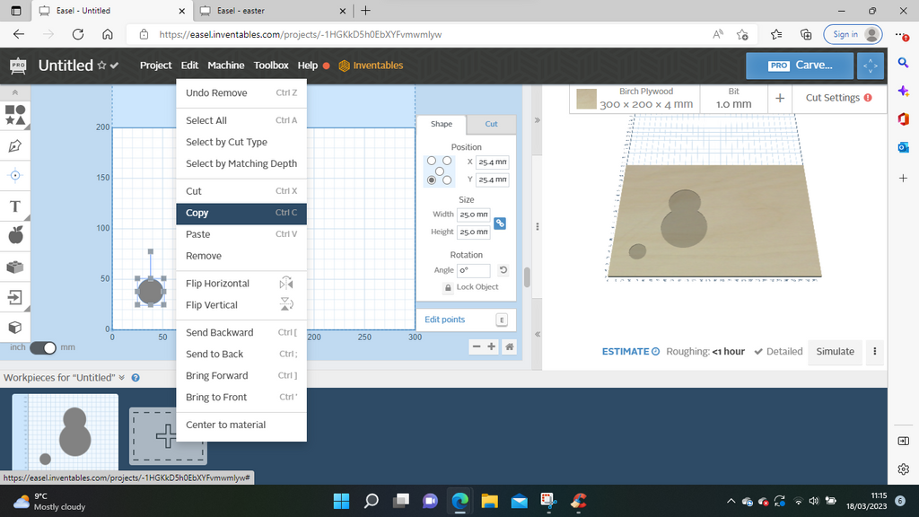 Edit-and-copy-for-second-paw