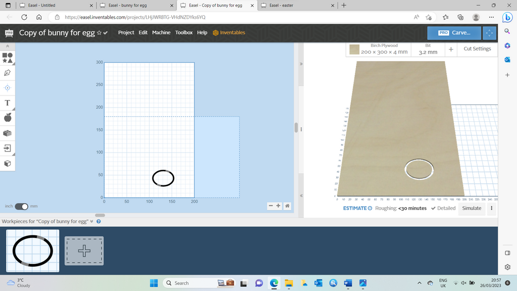 Using-copy-of-project-to-adjust-egg