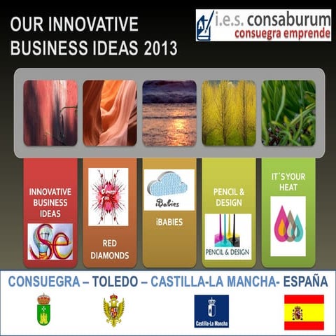 Innovative business ideas 2013