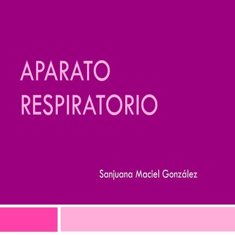 02 Ap Respiratorio