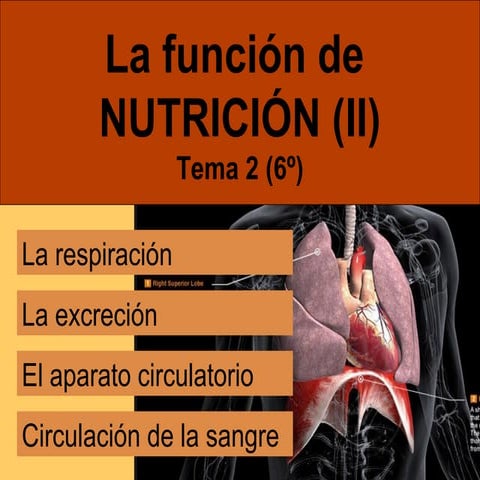 La Nutrición II