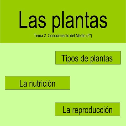 Las plantas