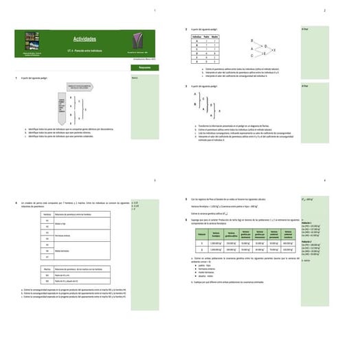 04 - Actividades.pdf