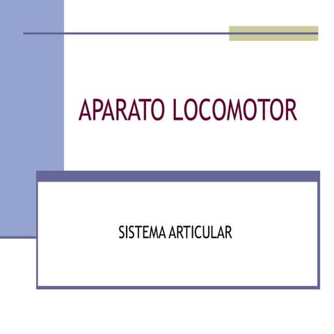 05) sistema articular