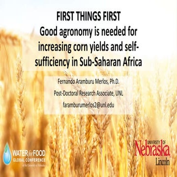 Good agronomy is needed for increasing corn yields and self-sufficiency in Su...