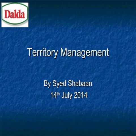 Territory management planning with sales basics