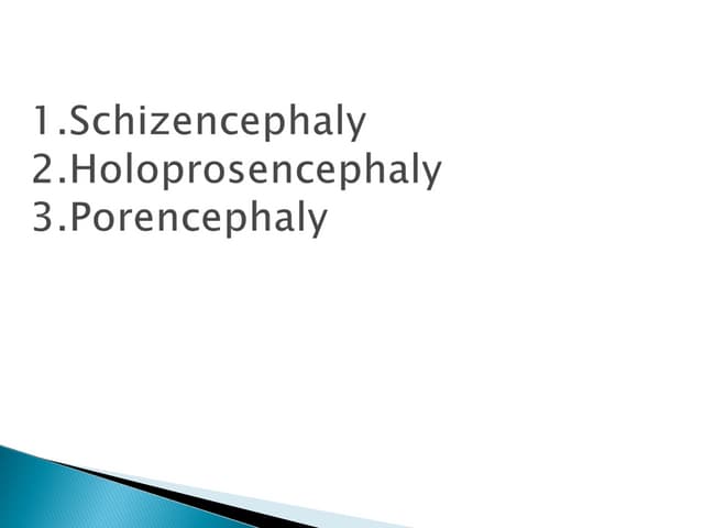 1.schizencephaly 2.holoprosencephaly 3.porencephaly