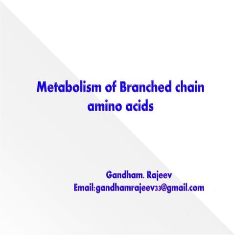 BRANCHED CHAIN AMINO ACID METABOLISM