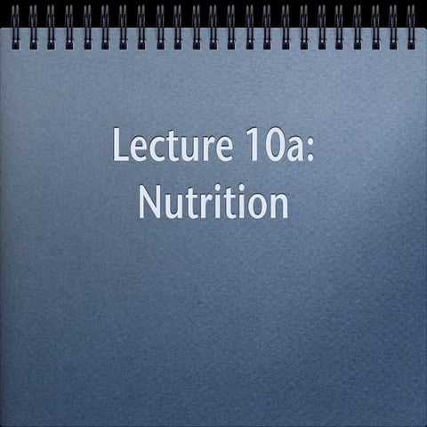 10a, nutrition