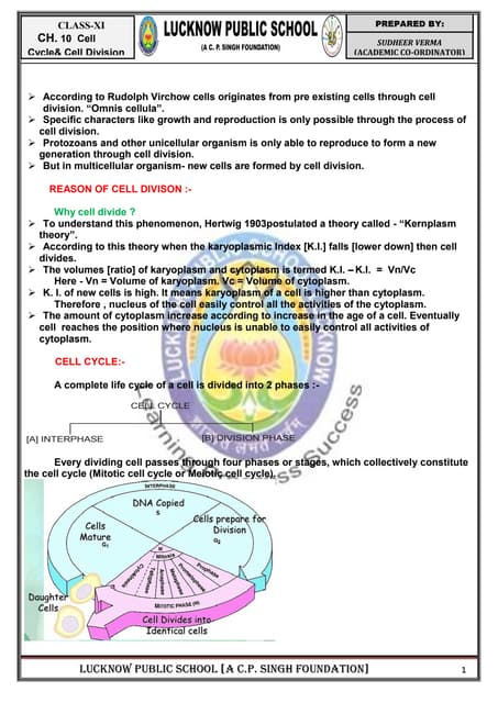 10 – cell cycle and cell division