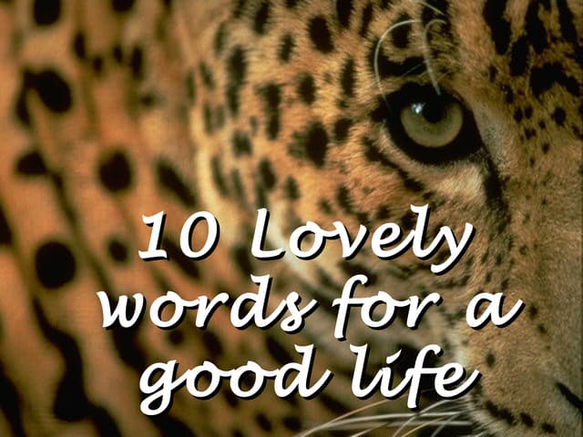 10 lovely words for a good life