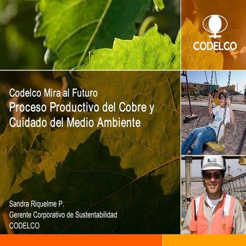 10 semana desarrollo sustentable, cobre medioambiente