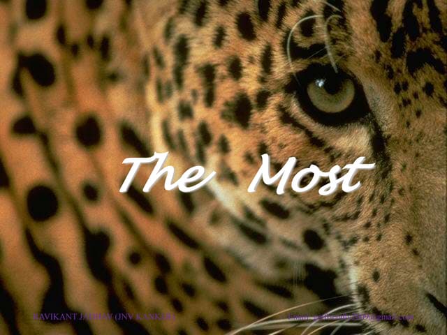 The Most Important 10 Words Can Change Your Life...