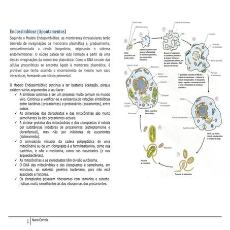 Apontamentos - Endossimbiose