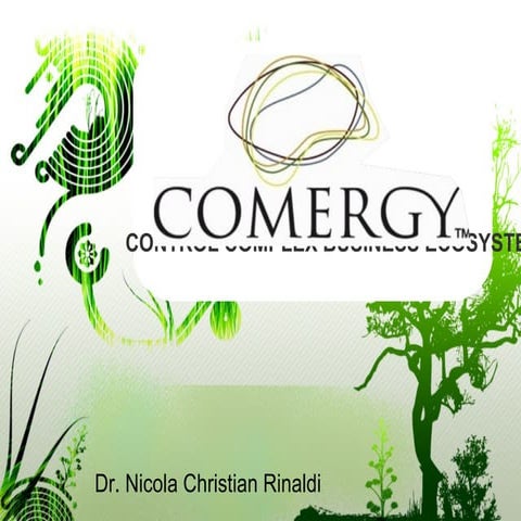 COMERGY control complex business ecosystems