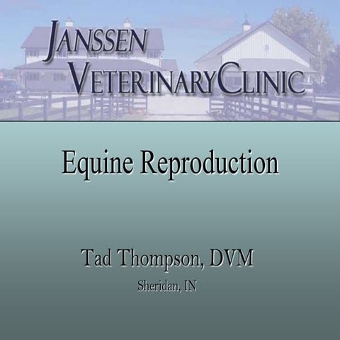 Equine Reproductive Techniques