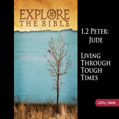 12j21 1 pet4_1-11__ppt97_2003