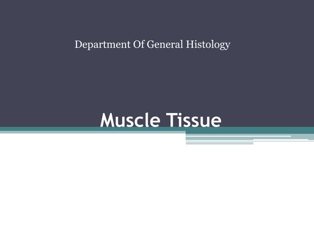 Histology of Muscle tissue