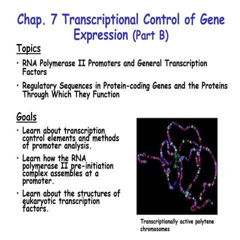 13-miller-chap-7b-lecture.ppt