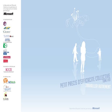 Petit Précis d'Efficacité Collective