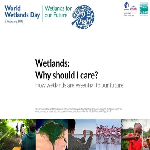 Celebrate World Wetlands Day with UNEP