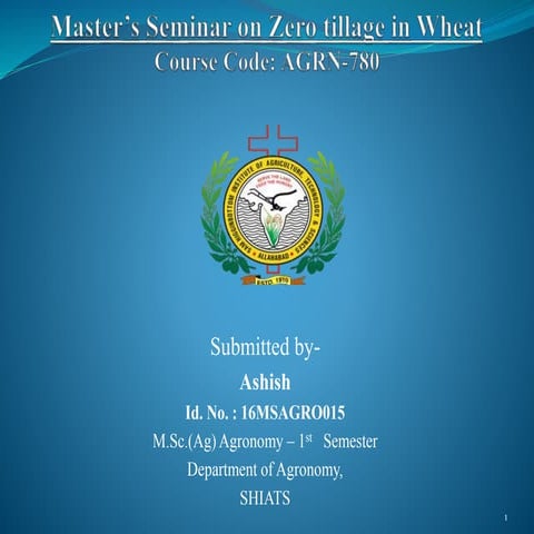 Zero tillage in Wheat