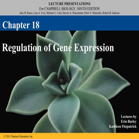 18 Regulation of Gene Expression