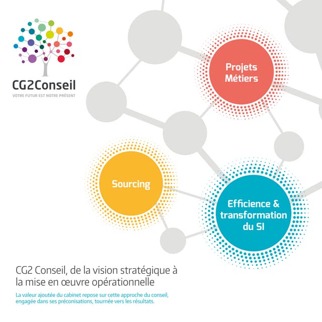 Plaquette CG2 Conseil