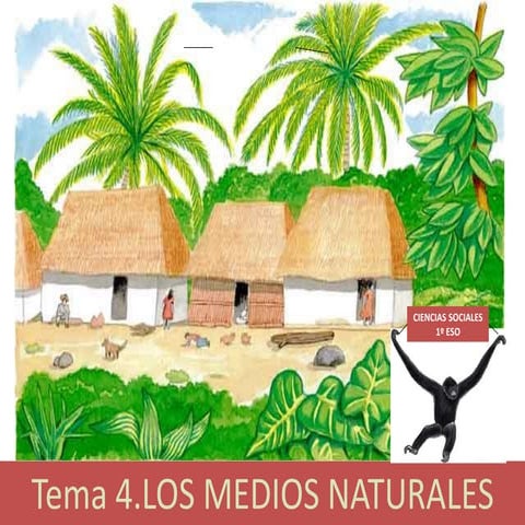 Tema 4. Los medios naturales. 