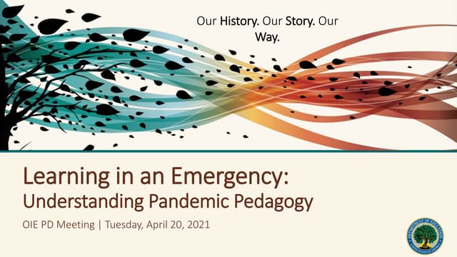 OIE Project Director's Meeting 2021 - Remote Teaching and Online Learning in ...