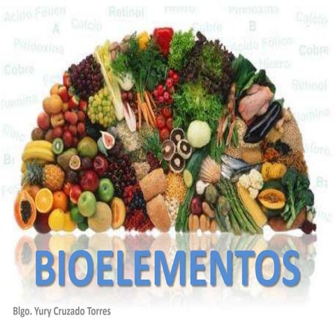 Bioelementos sales y agua
