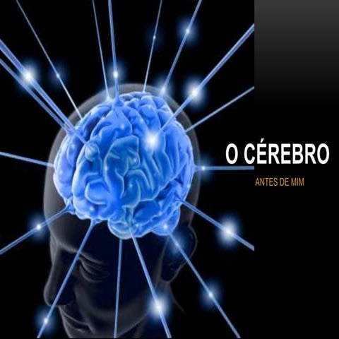 Cérebro
