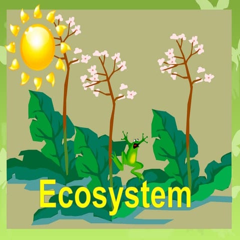  Ecosystem
