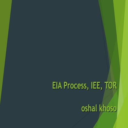  EIA-process