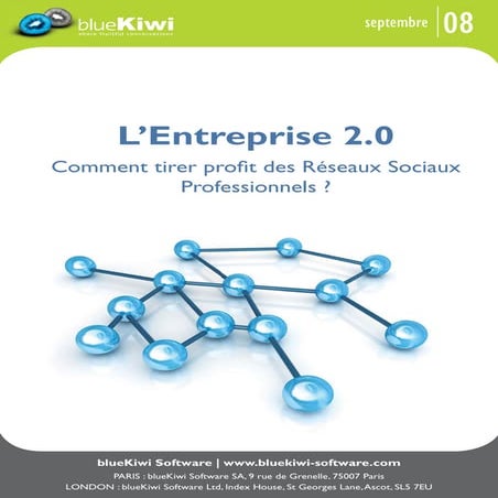 2008117 White Paper Bluekiwi Sept08 Final