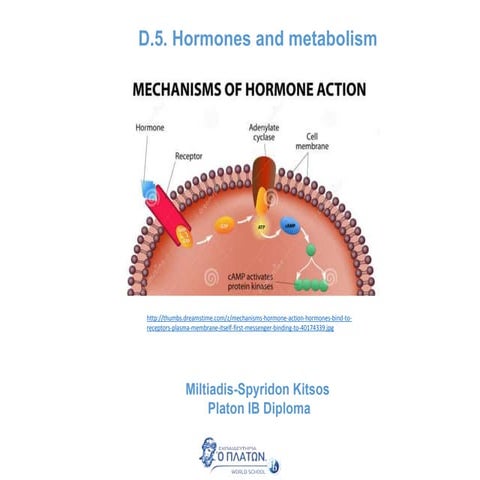  D.5. hormones and metabolism
