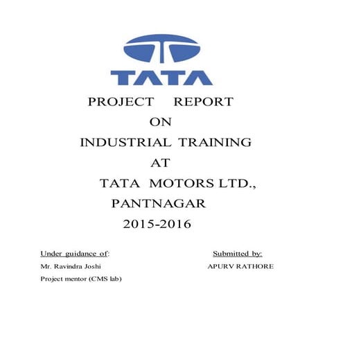 project report - apurv