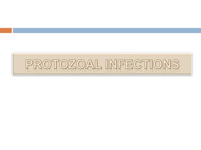 22. protozoal infections