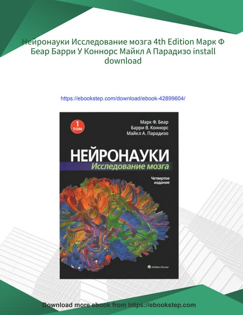 Нейронауки Исследование мозга 4th Edition Марк Ф Беар Барри У Коннорс Майкл А...