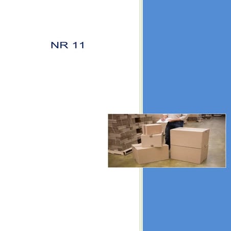 nr 11