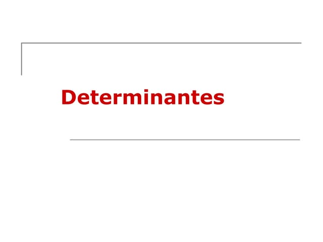 Determinantes - 2º B