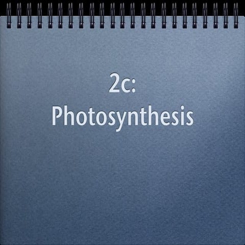 2c; photosynthesis
