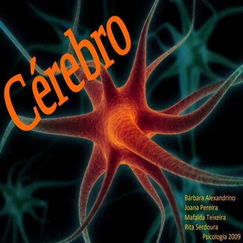 Trabalho Cérebro