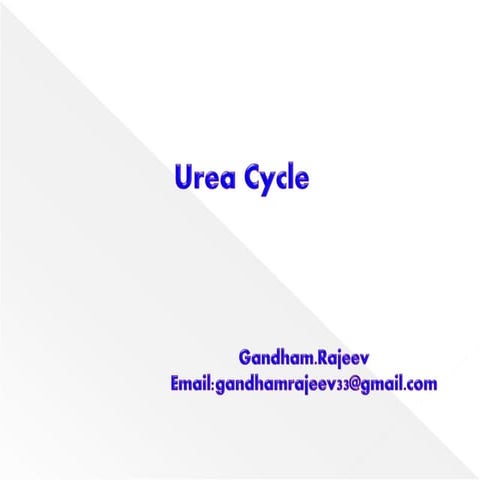 UREA CYCLE