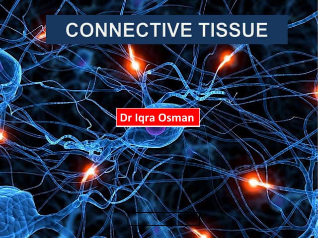 3. Connective tissue (1).pptx by Dr Iqra Osman
