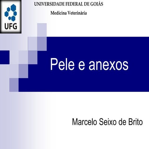 Aula 3 Anatomia - Pele e Anexos 