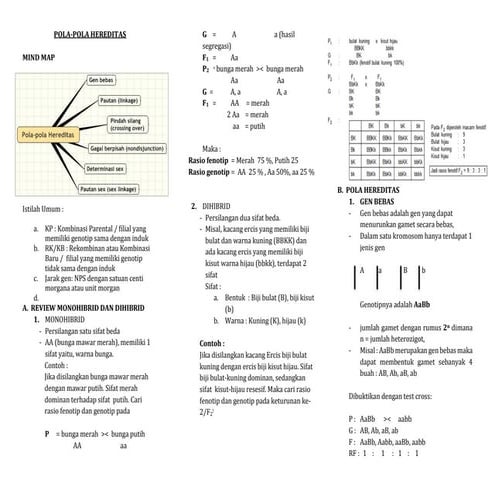 POLA HEREDITAS (BIOLOGI SMA)
